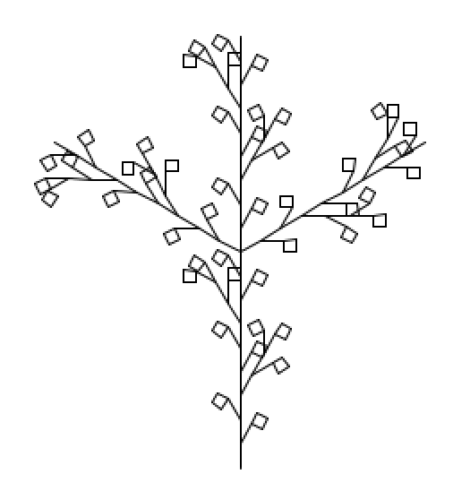 Picture of the Design C l-system at n=2